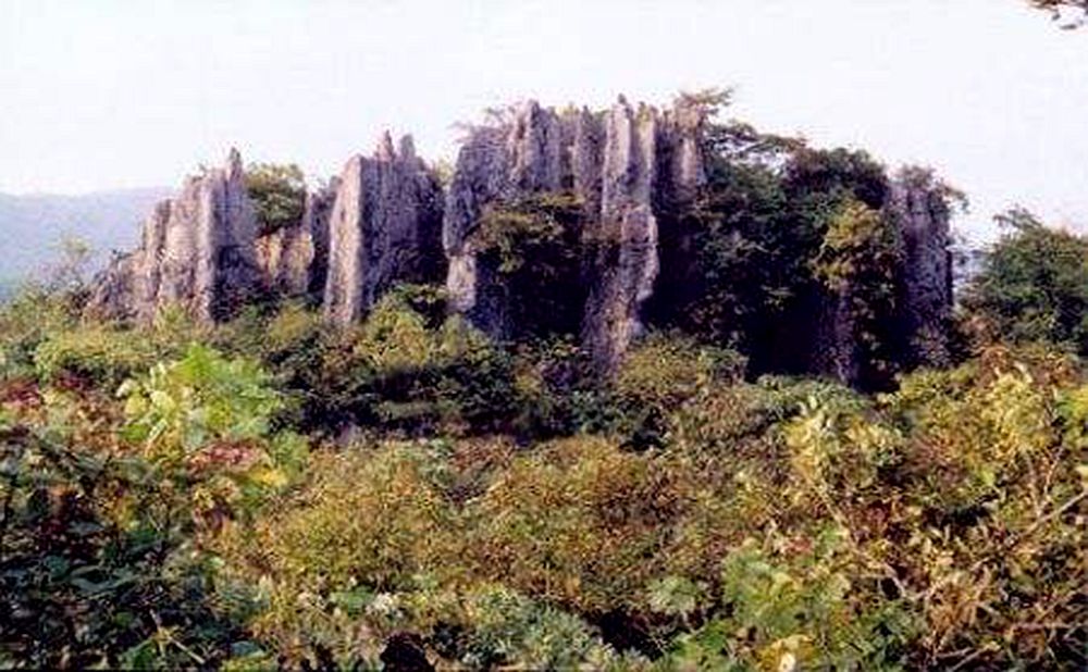 锣鼓圈岩溶石林