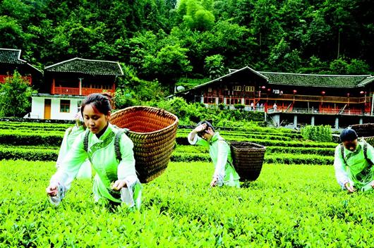 咸丰帝茶